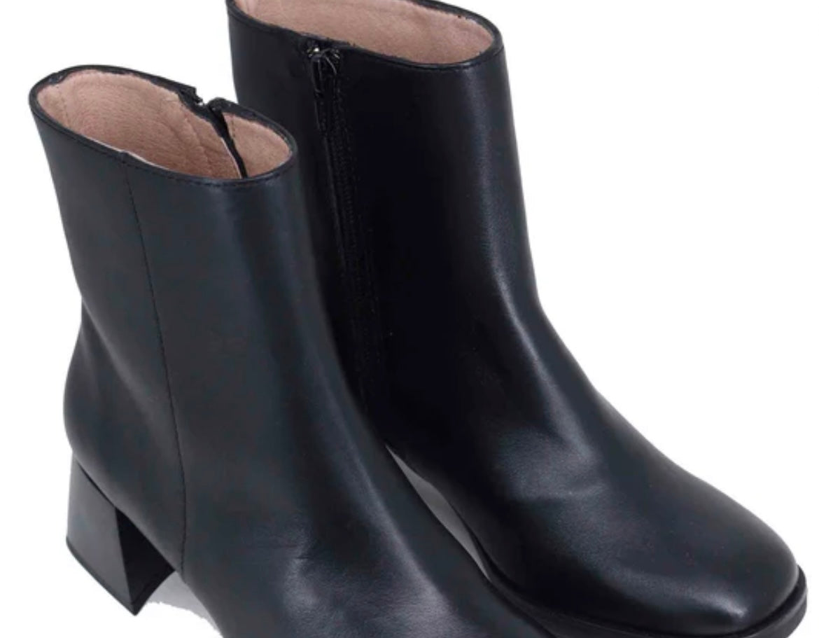 Hispanitas black leather ankle boots